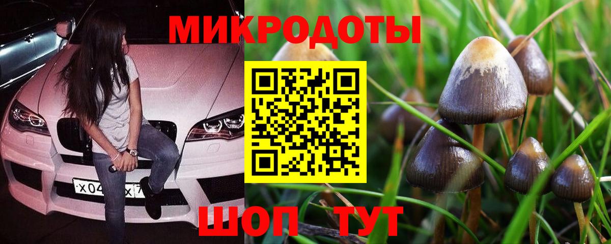 Галлюциногенные грибы ЛСД Красноуфимск