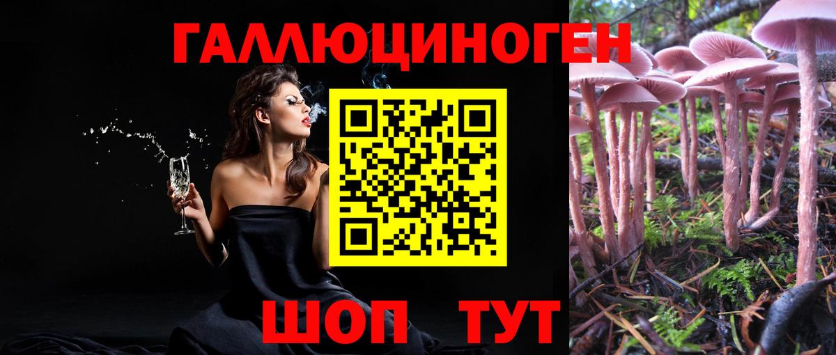 Псилоцибиновые грибы прущие грибы  Вход с VPN  Красноуфимск 